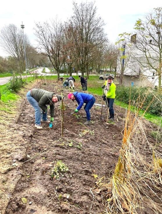 2024-11-22-aanplanten-groen-nabij-brug