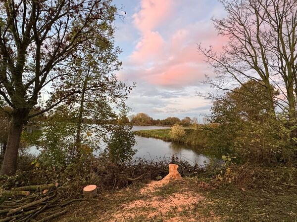 2025-11-01-es-omgezaagd 2025-11-01-es-omgezaagd